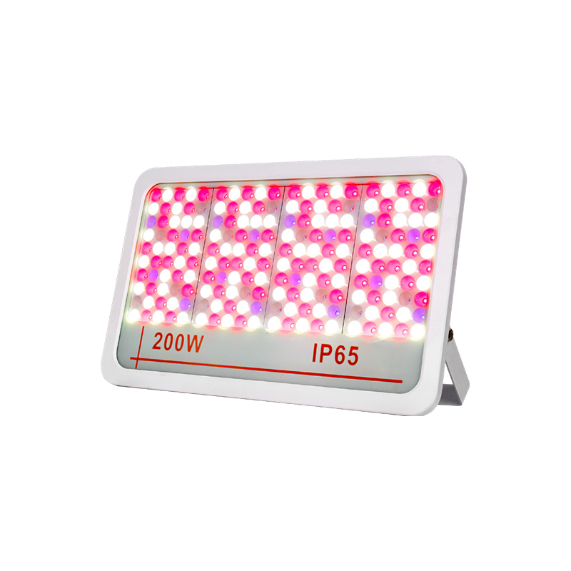 LED poplavno svjetlo