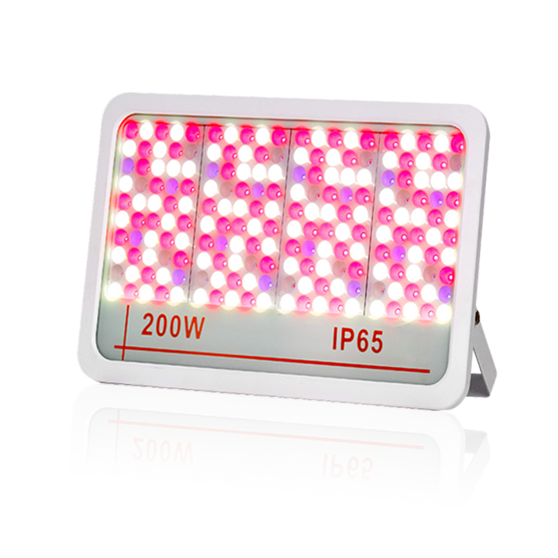 LED poplavno svjetlo