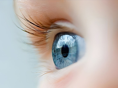 Xin Guang Yuan (New Lights) Rasvjetna tehnologija Co., Ltd.