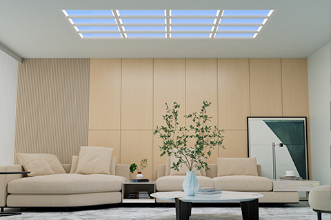 Xin Guang Yuan (New Lights) Rasvjetna tehnologija Co., Ltd.